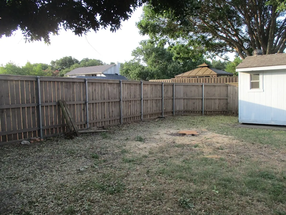 Cleared yard after professional tree removal in Jewett